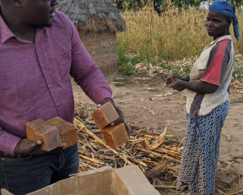 WhatsApp Image 2026-02-26 at 7.46.13 AM (1)